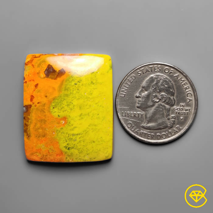 Bumble Bee Jasper
