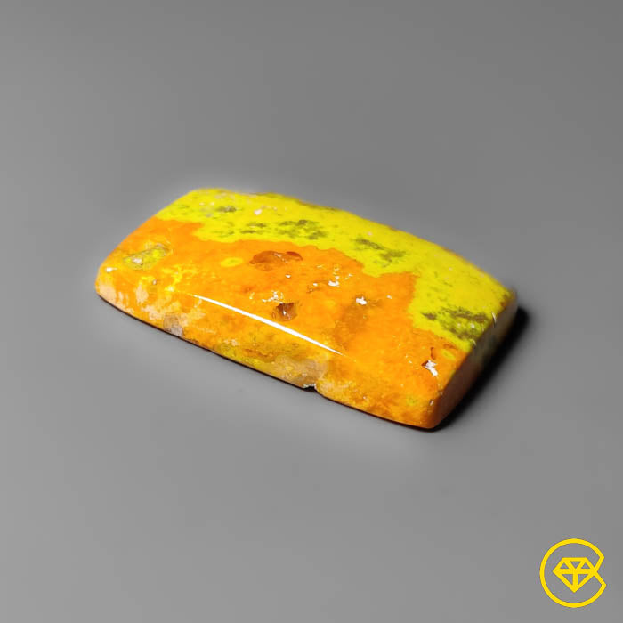 Bumble Bee Jasper