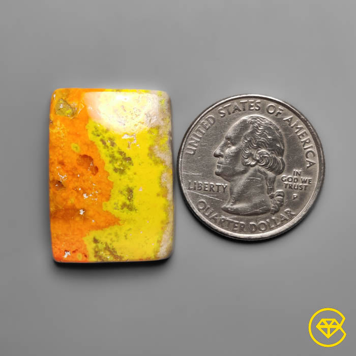 Bumble Bee Jasper