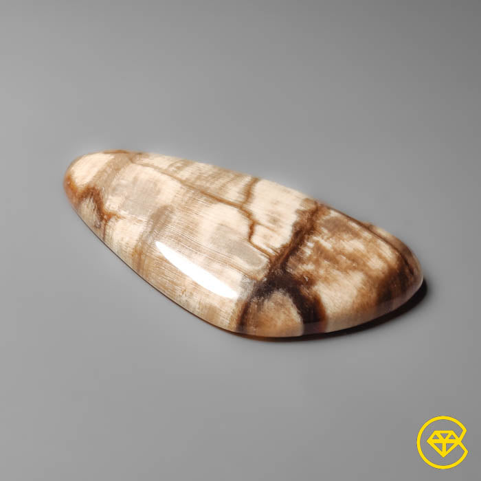 Petrified Wood