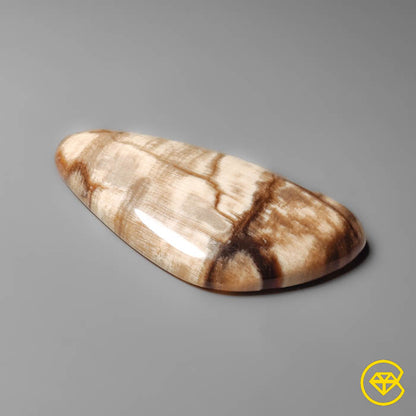 Petrified Wood