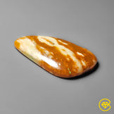 Petrified Wood