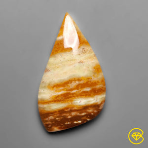 18 carat Arizona Petrified Wood Natural 33X18X5 mm From Arizona