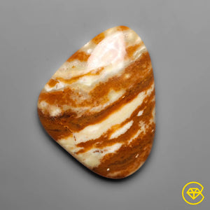 18 carat Arizona Petrified Wood Natural 28X22X5 mm From Arizona