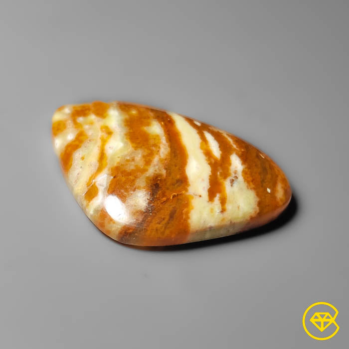 Petrified Wood