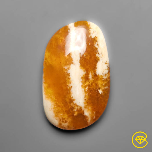 Petrified Wood