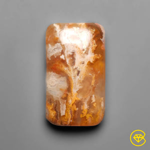 14 carat Graveyard Point Plume Agate Cabochon Natural 20X12X6 mm From USA