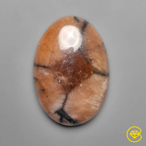 25 carat Chiastolite Cross Stone Cabochon Natural 27X18X5 mm From France