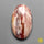 Howardite Opal