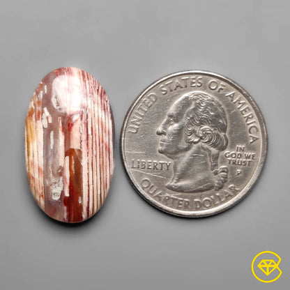 Howardite Opal