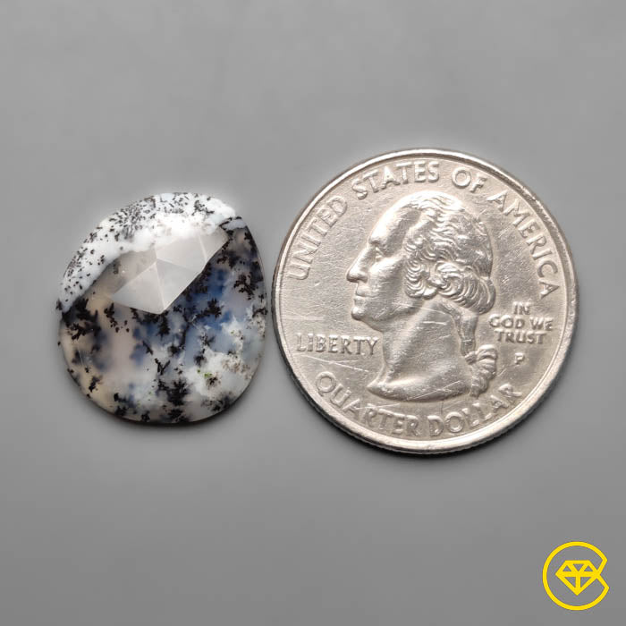 Dendritic Agate