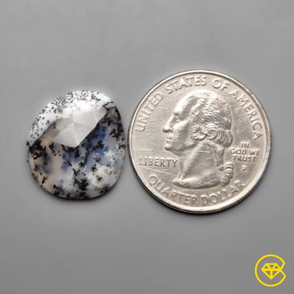 Dendritic Agate