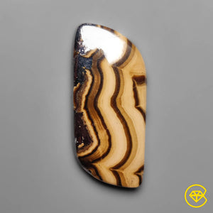 29 carat Schalenblende Cabochon Natural 30X14X4 mm From Poland