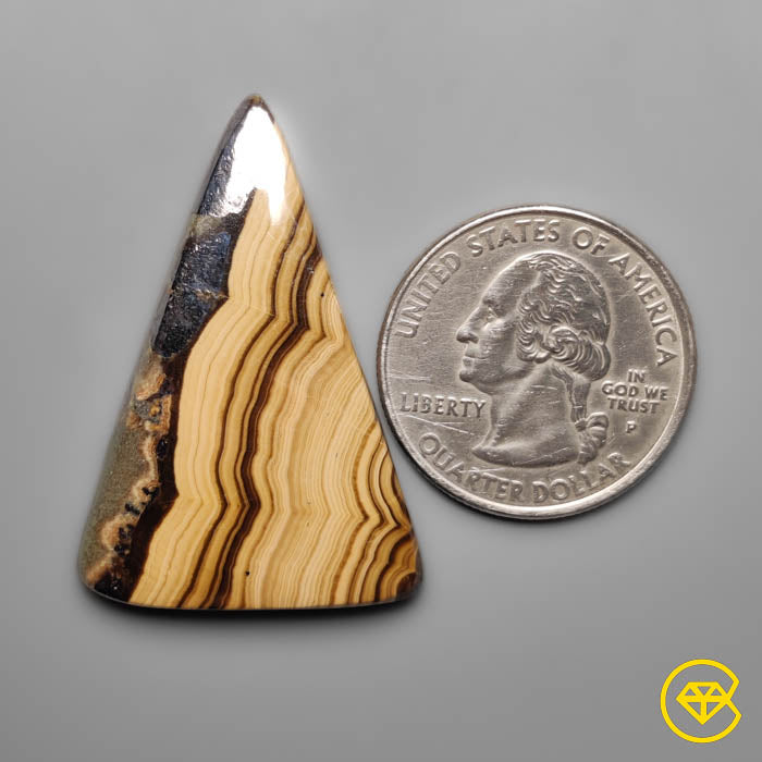 Schalenblende