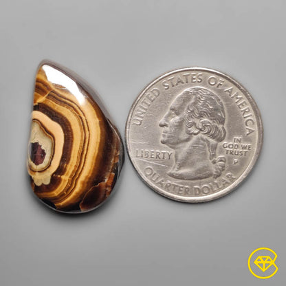 Schalenblende