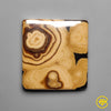 Schalenblende