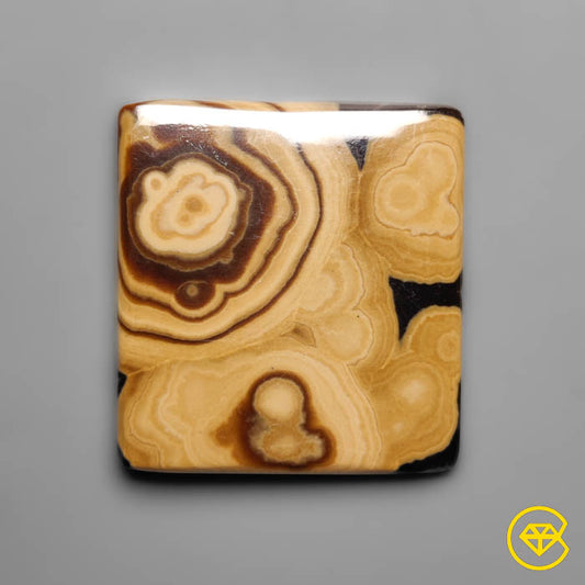 Schalenblende