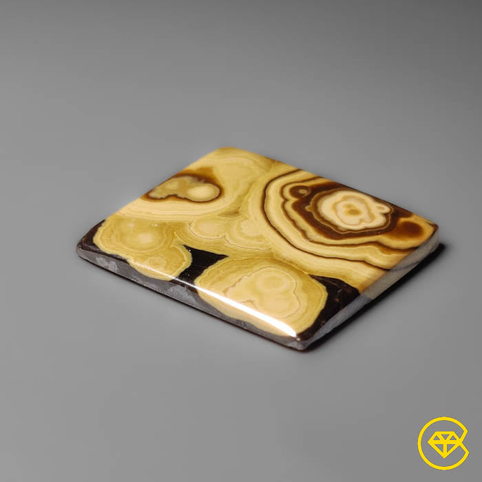 Schalenblende