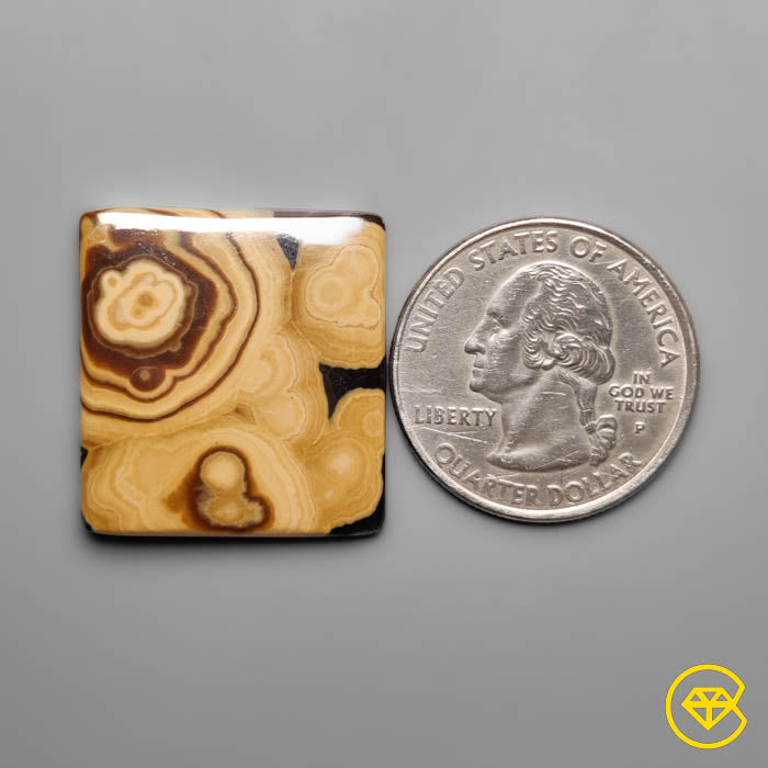 Schalenblende