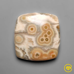32 carat Orbicular Ocean Jasper Cabochon Natural 25X24X5 mm From Madagascar