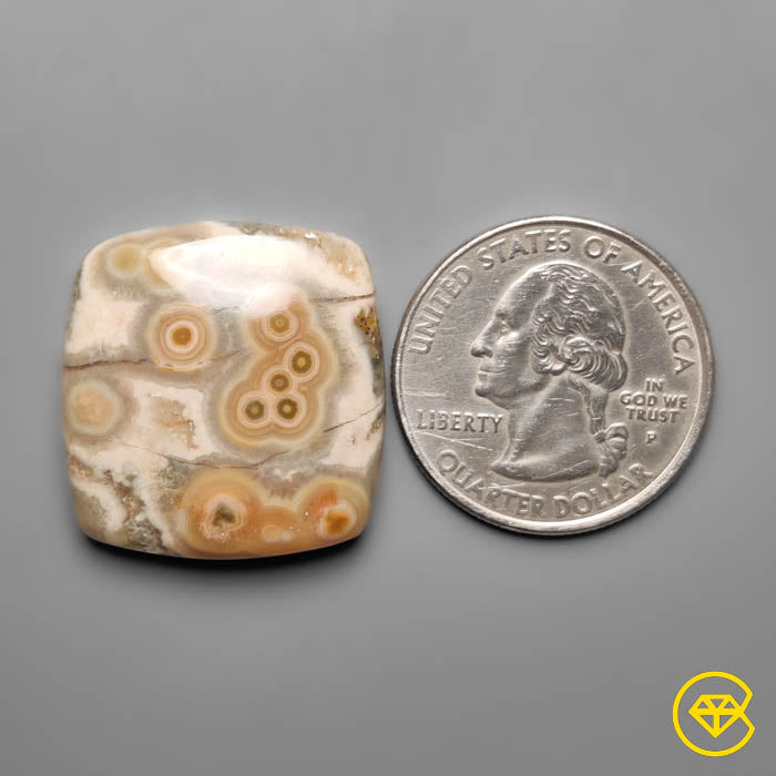 Ocean Jasper