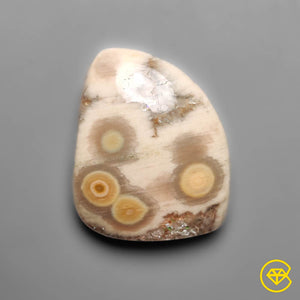 21 carat Orbicular Ocean Jasper Cabochon Natural 23X18X5 mm From Madagascar