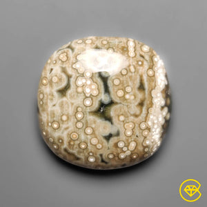 22 carat Orbicular Ocean Jasper Cabochon Natural 20X20X6 mm From Madagascar