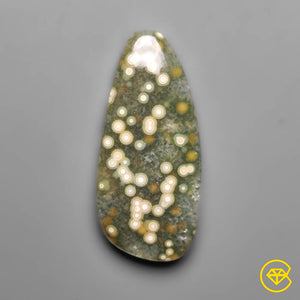17 carat Orbicular Ocean Jasper Cabochon Natural 29X13X4 mm From Madagascar