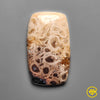 Palmroot Agate