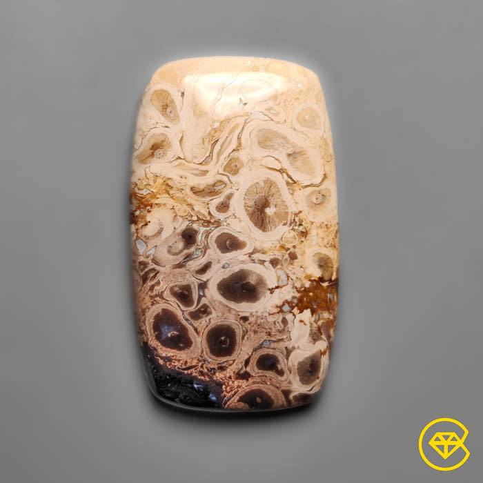 Palmroot Agate