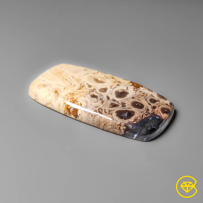 Palmroot Agate