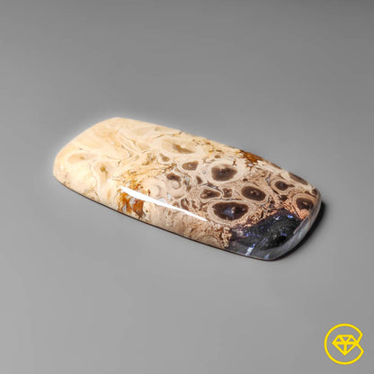 Palmroot Agate