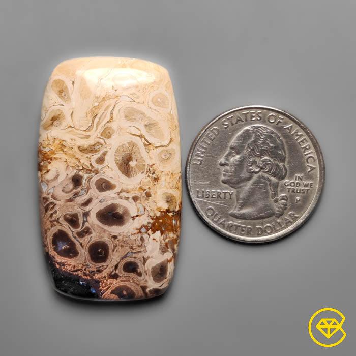 Palmroot Agate
