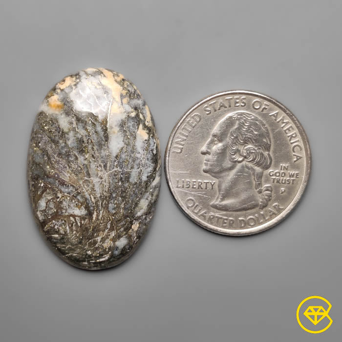 Feather Pyrite