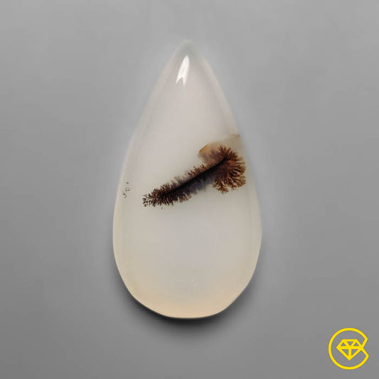 Scenic Agate