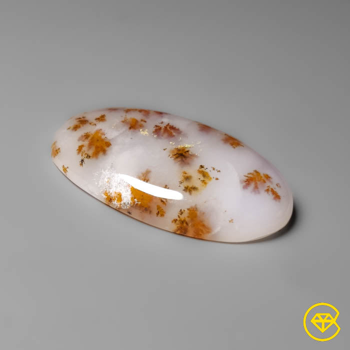 Dendritic Agate