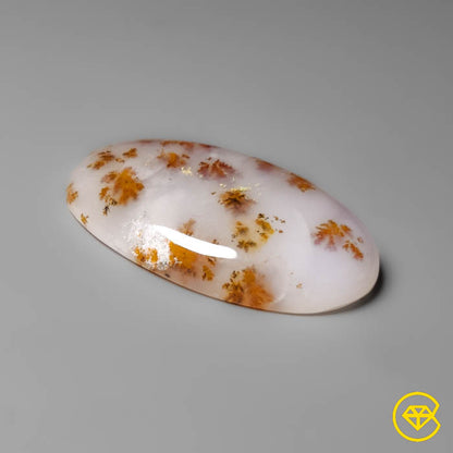 Dendritic Agate