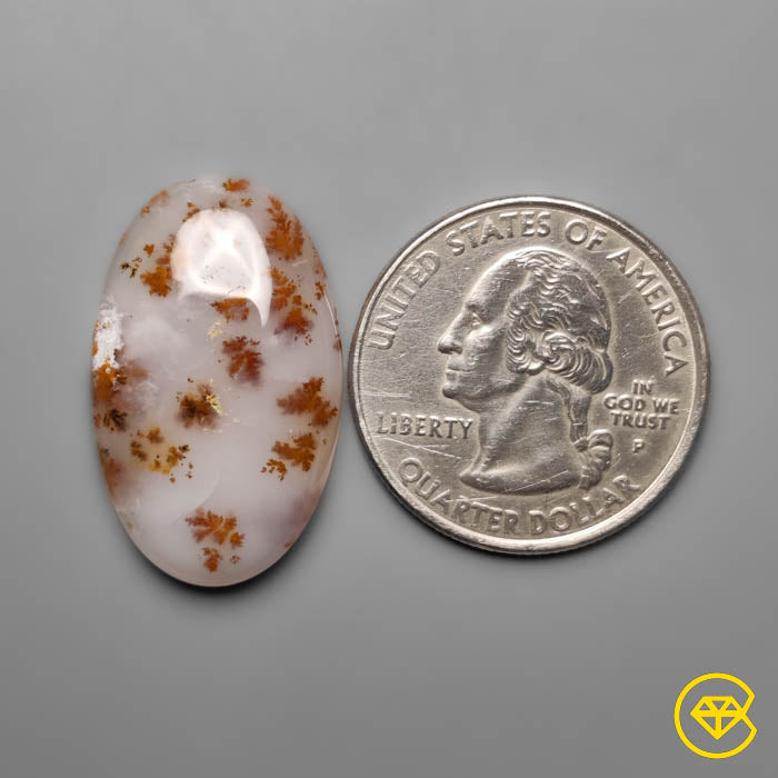Dendritic Agate