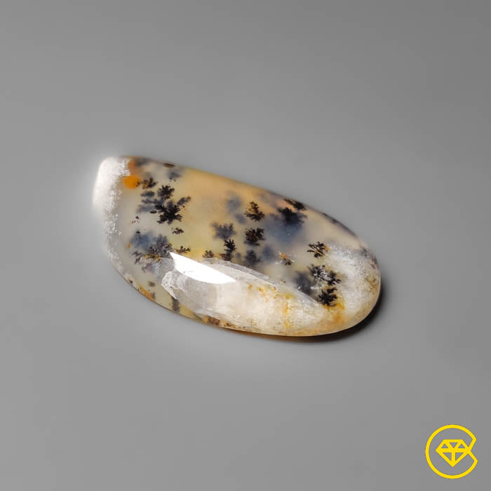 Dendritic Agate