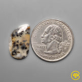 Dendritic Agate