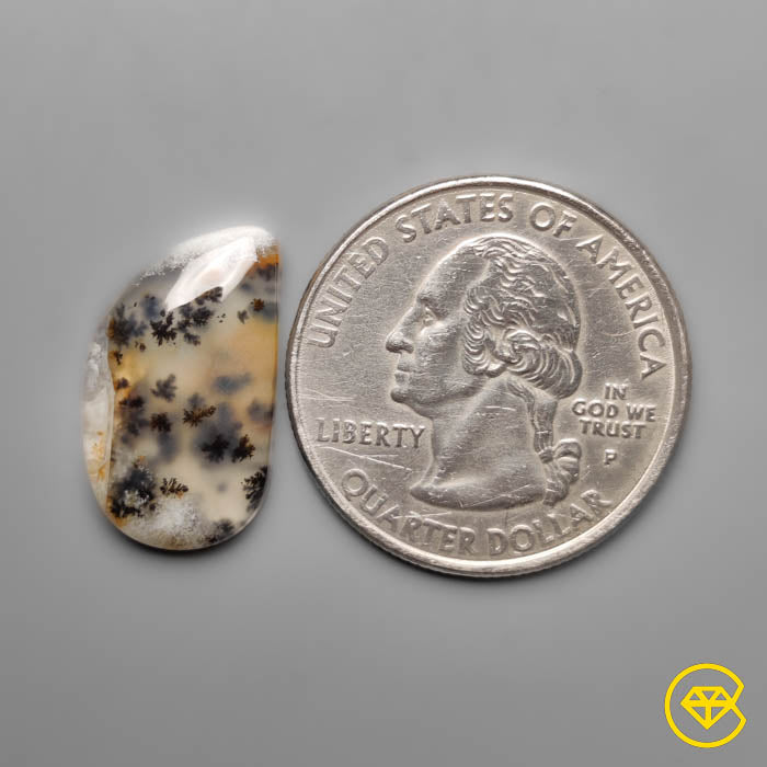 Dendritic Agate