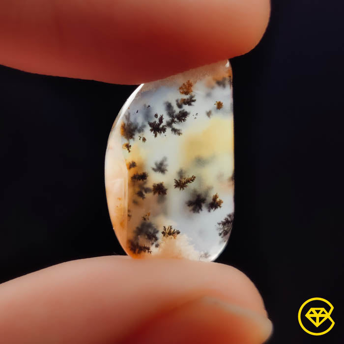 Dendritic Agate