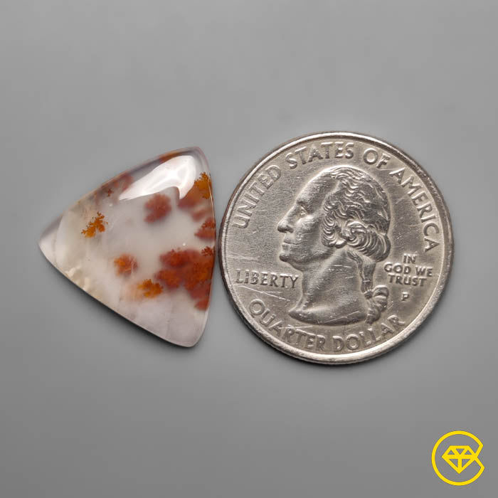 Dendritic Agate