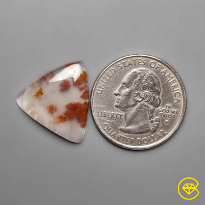 Dendritic Agate