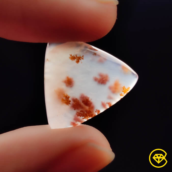 Dendritic Agate