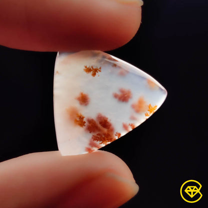Dendritic Agate