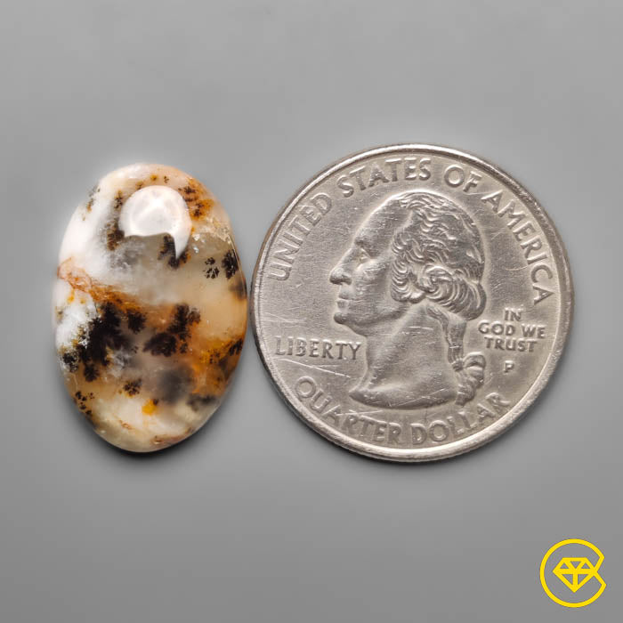 Dendritic Agate