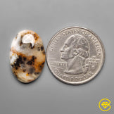 Dendritic Agate