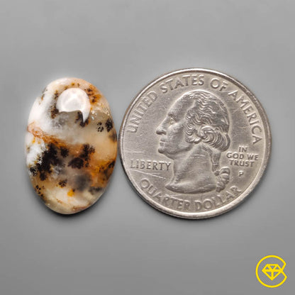 Dendritic Agate