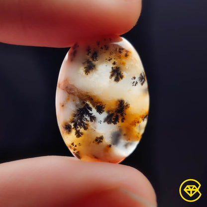 Dendritic Agate